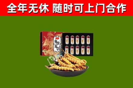 精河县回收冬虫夏草价格
