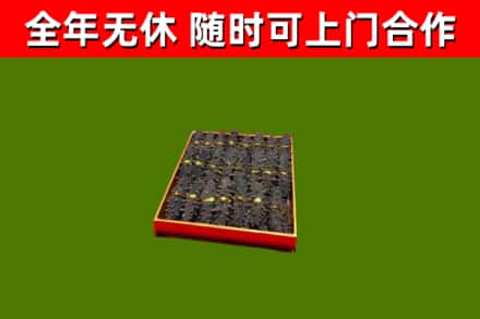 精河县回收海参